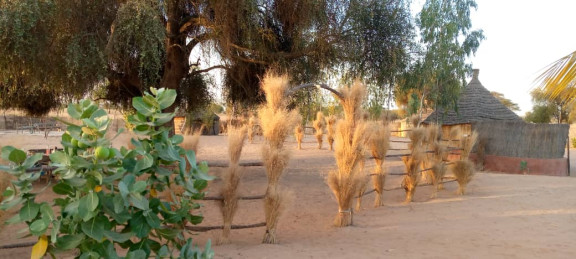 Nord Sénégal : La grande évasion