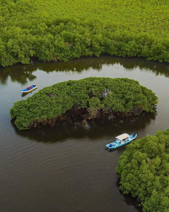 Les Îles du Saloum